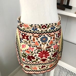 Embroidered Akira Mini Skirt